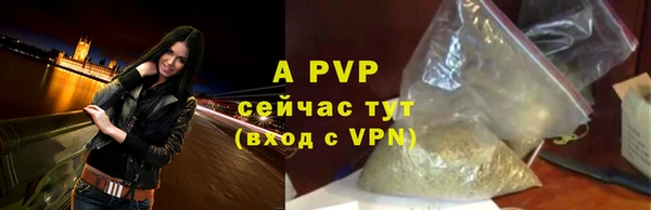шишки Козельск