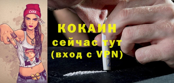 МДПВ Алзамай