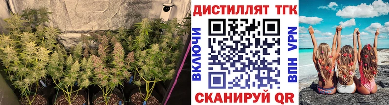 ТГК концентрат  hydra tor  Звенигово 
