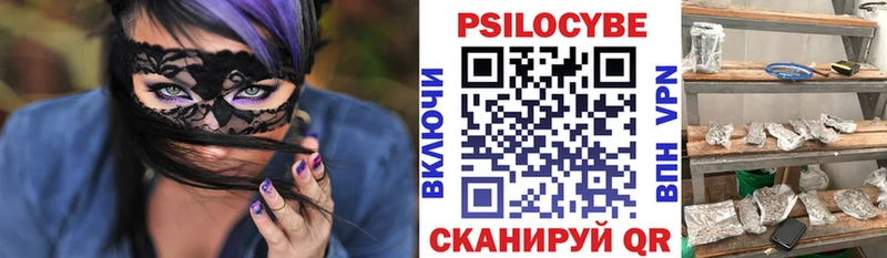 Псилоцибиновые грибы мицелий  сайты даркнета телеграм  Звенигово  купить закладку 